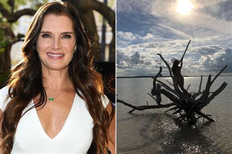 nude pictures of brooke shields|Brooke Shields, 55, strips off to pose naked by the sea